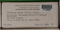Image Associated With the Occurence